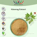 Traditional Chinese medicine low pesticide ginseng extract 10% ginsenosides panax ginseng extract